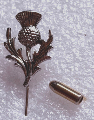Scottish thistle white - thistle, metal