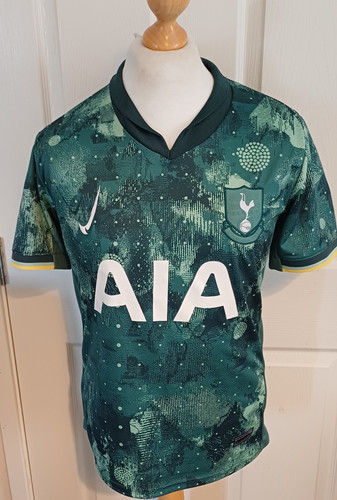 Tottenham hotspur 2024 25 - fc, 2024-25