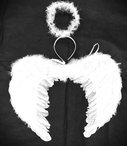 Halloween white feather - halloween,