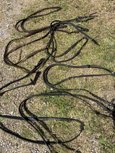 Job lot reins - lot,