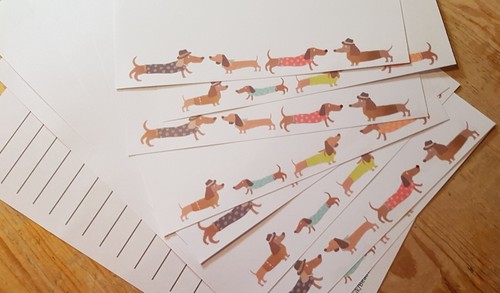 Colourful dachshund dogs - colourful,