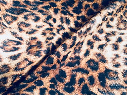 Digi leopard animal print - digi,