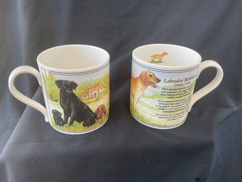 Labrador retriever mug - 2,