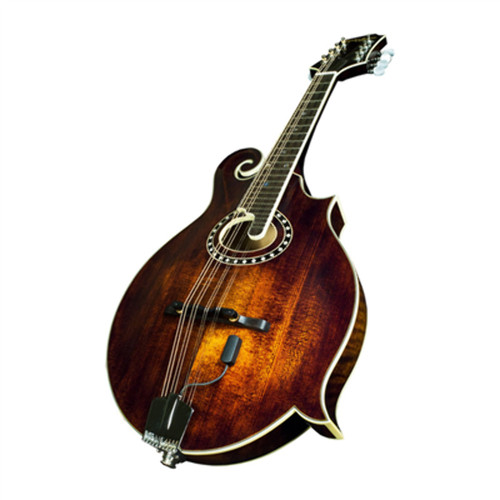 Baggs radius mandolin pick - baggs,