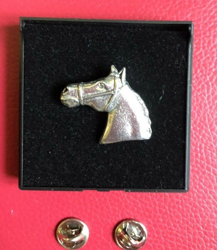 Horse head with - head, tack