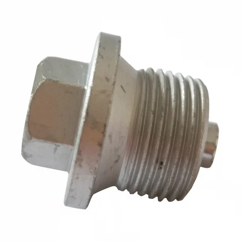 Oil pan drain plug - , 1613800100
