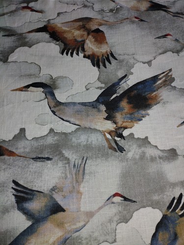 Edinburgh weavers flyway birds - weavers,