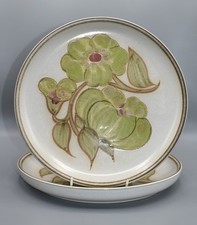 Set of 2 Denby Troubadour Stoneware Dinner Plates 10" / 25.5cm