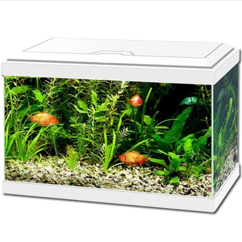 Ciano aqua aquarium - ciano, led