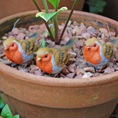 Robin pot topping bird - 3,