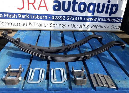 Leaf spring suspension - suspension, for