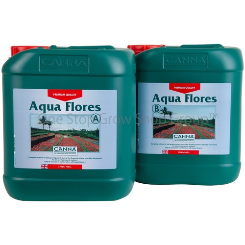 Canna aqua flores b - aqua, a&b