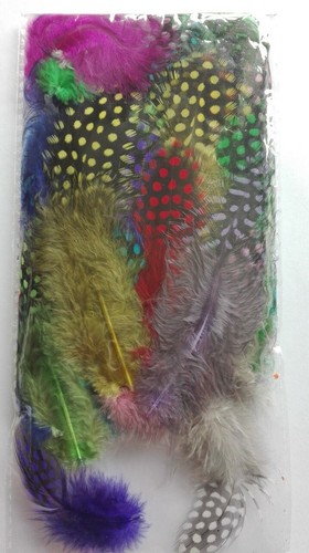 Pack guinea fowl feathers - pack, of