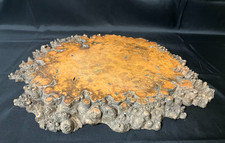 Japanese Burl Wood Bonsai