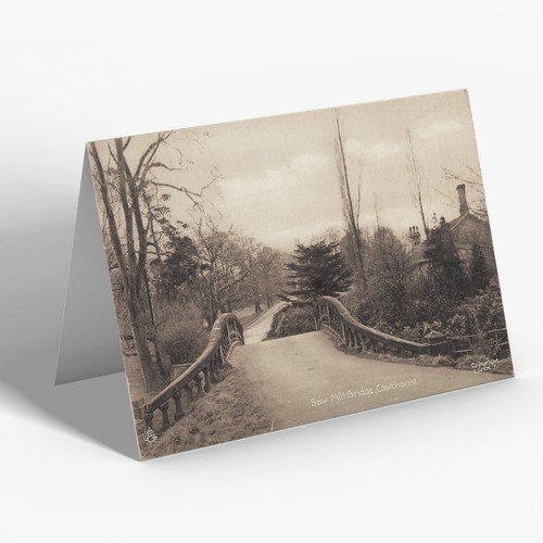 Greeting card vintage - greeting,