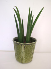Vintage Churchill Plant Pot