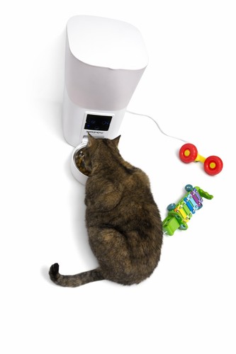 Feeder smart 5l cat - -,