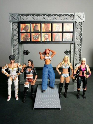 Wwe mattel jakks female - wwe, mattel/jakks