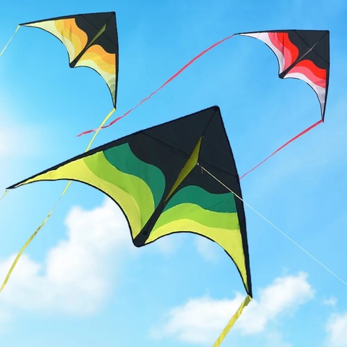 Large delta beach kite with - large,