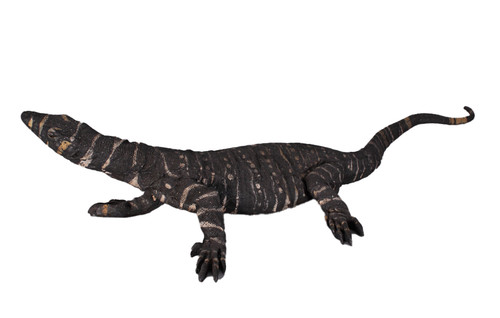Monitor lizard life size - monitor,