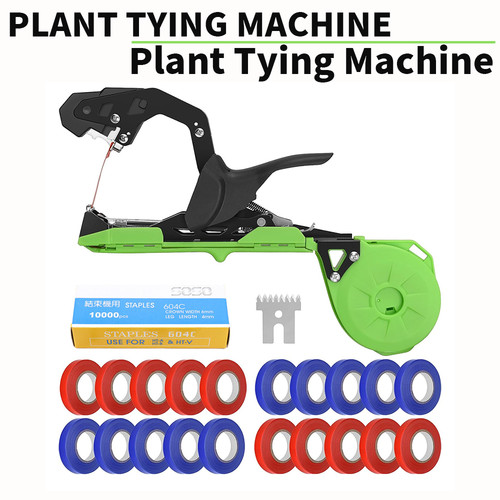 Plant branch hand - plant,