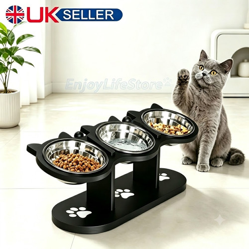 Cat dog food - cat, feeding