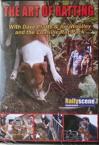 Hunting dvd the - dvd,