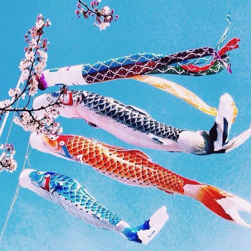 100cm japan style - 40/70/100cm,