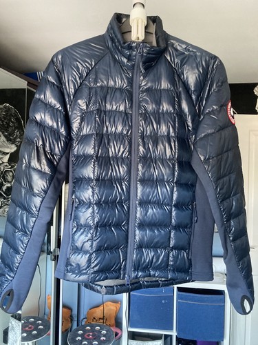 Canada goose hybridge - goose,