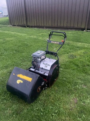 Allet buffalo cylinder - buffalo,