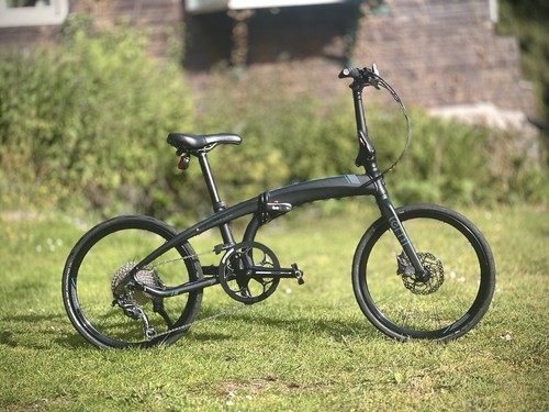 Tern verge p10 - tern,