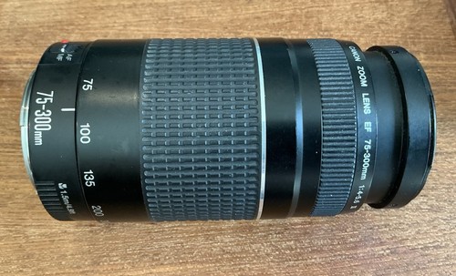 Canon 300mm 5 - ef, iii