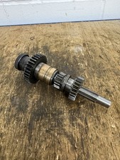 colchester student Round Head