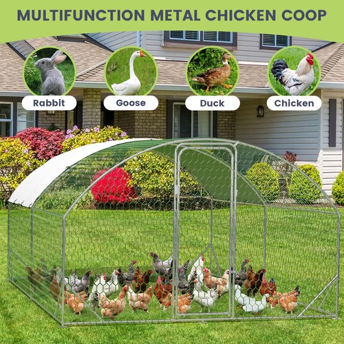 3mx4m walk chicken run - chicken,