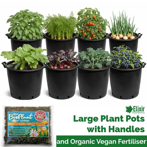 Potato vegetable growing pots - growing,