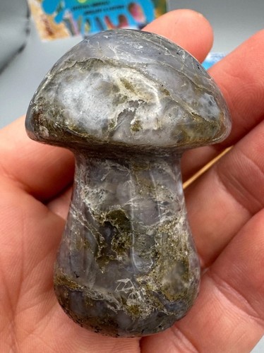 Crystal mushroom blue moss - mushroom,