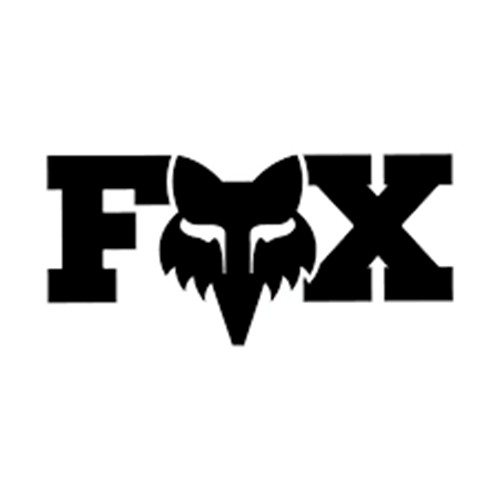 H50 huge wild fox face - wild, head