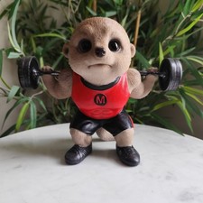 Baby Meerkat Weightlifter