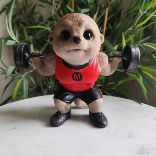 Baby meerkat weightlifter - meerkat,