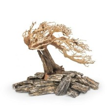 Bonsai Tree + Wood Stones