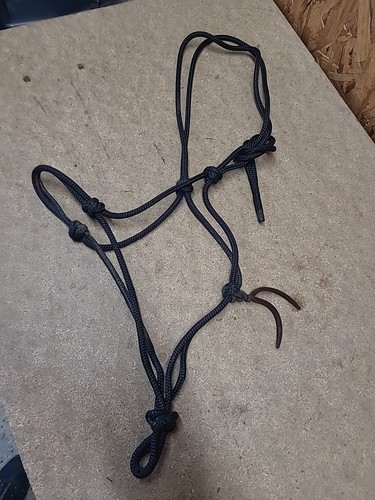 Parelli rope training - parelli,