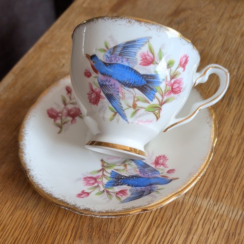 Royal stafford bone china - china, tea