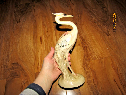 Beautiful lustre bird - bird, heron