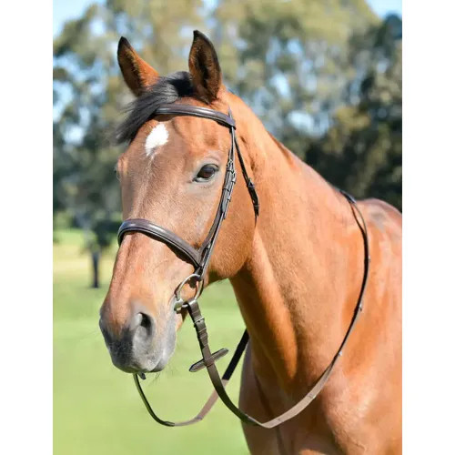 Kincade classic plain raised - classic,
