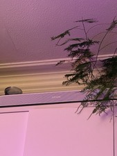 Sonos Beam (Gen 2) White - Excellent Condition - No Marks - Original Cables&Box