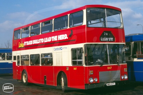 Bus photo central scottish - photo,
