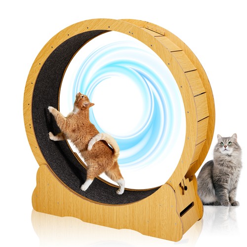 Cat exercise wheel - wheel, &