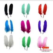 ATST® 10 Solid Colour Goose