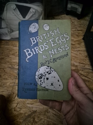 Vintage british birds eggs - vintage, birds'