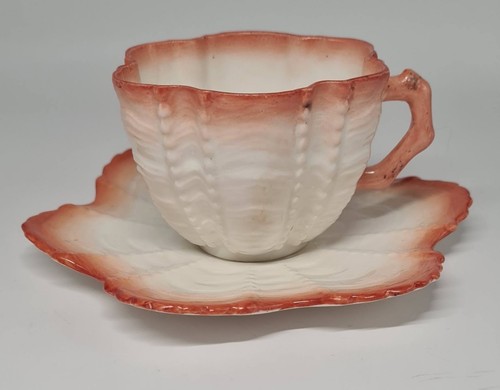Wileman antique shell bone - shell,